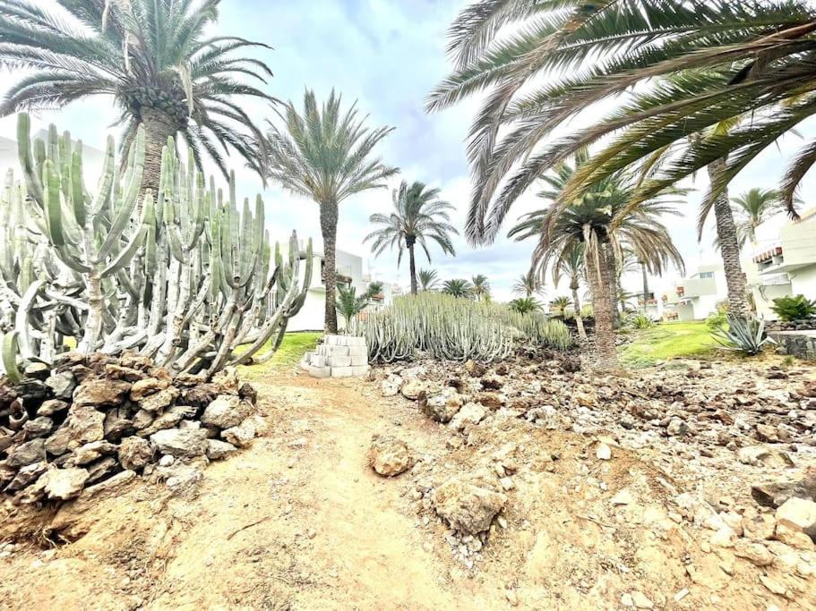 Apartamento Con Piscina Sur De Tenerife Costa Del Silencio Exteriér fotografie